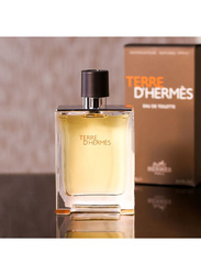 Hermes Terre D' Hermes 100ml EDT for Men